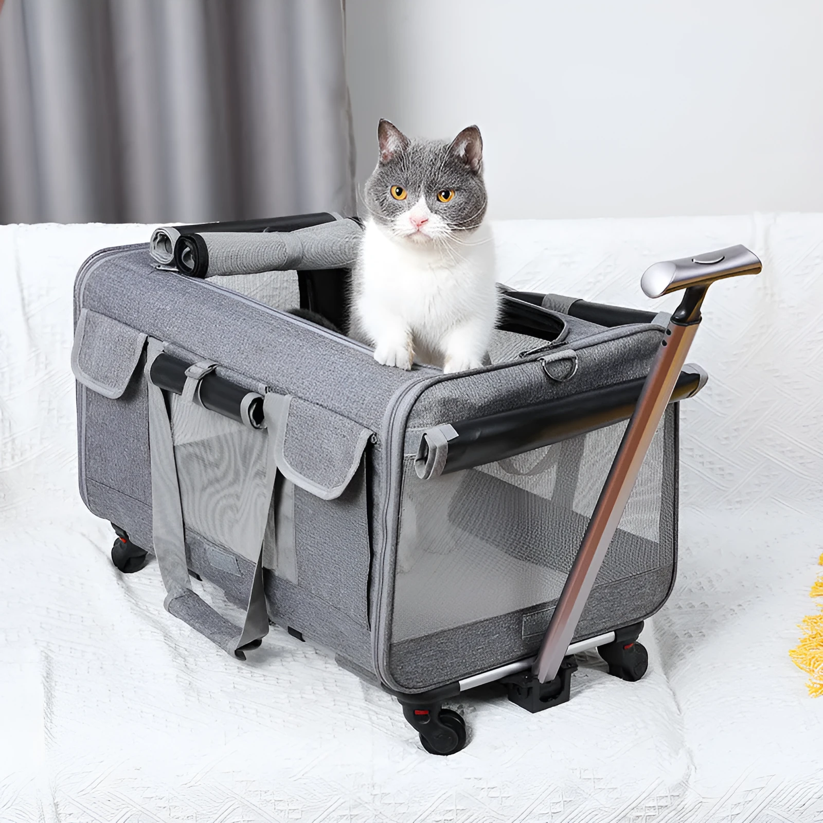 Foldable pet trolley bag in Oxford material with 17.50kg load capacity, solid colour design for cats and small dogs