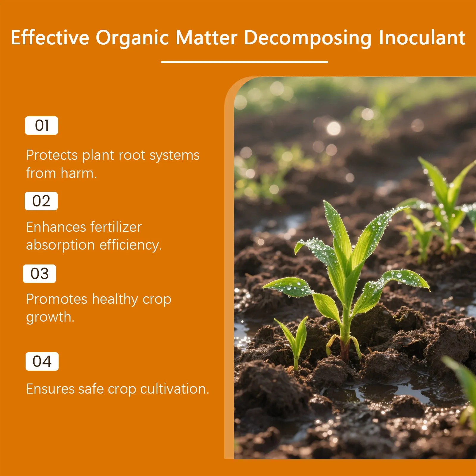 100g plant growth powder with humus extract and soil nutrients in a packet