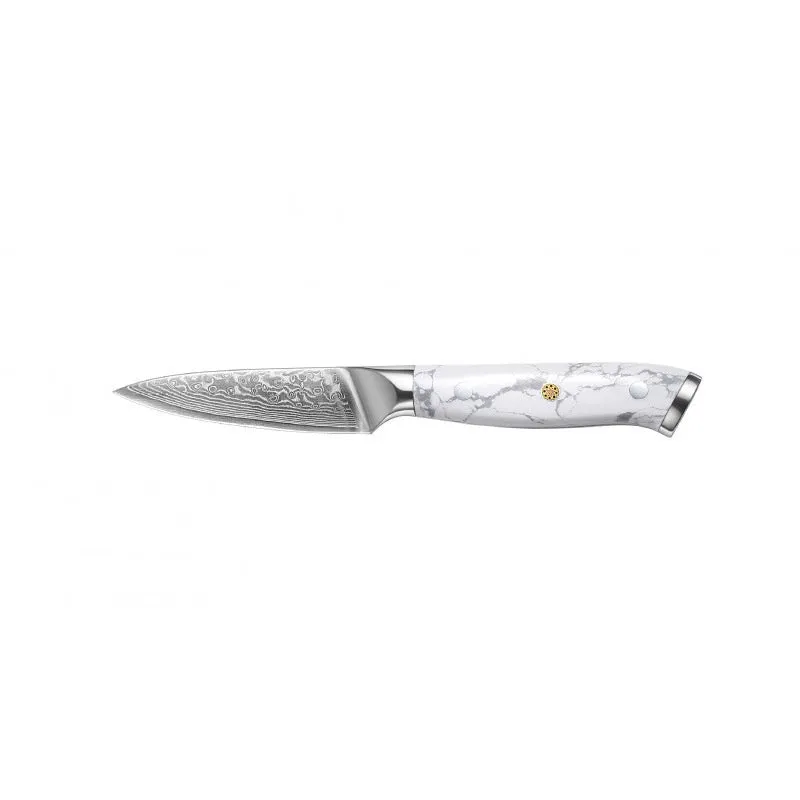 Damascus pattern VG10 steel combined chef's knife with 21cm blade and 11cm handle
