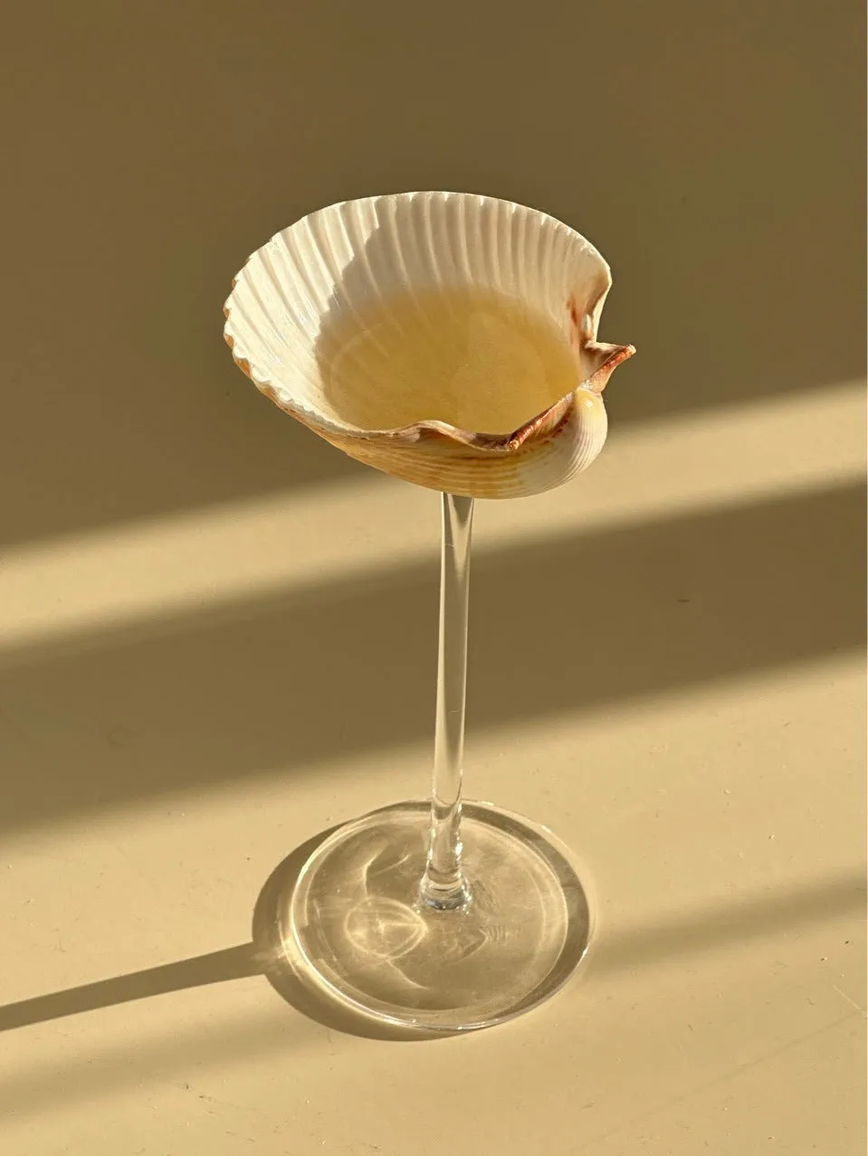 Handmade glass water cup with creative conch shell design in style A