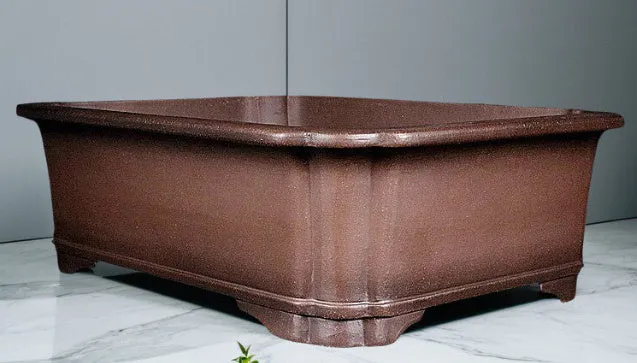 Antique rectangular purple clay flowerpot on a wooden surface with green boxwood plant inside