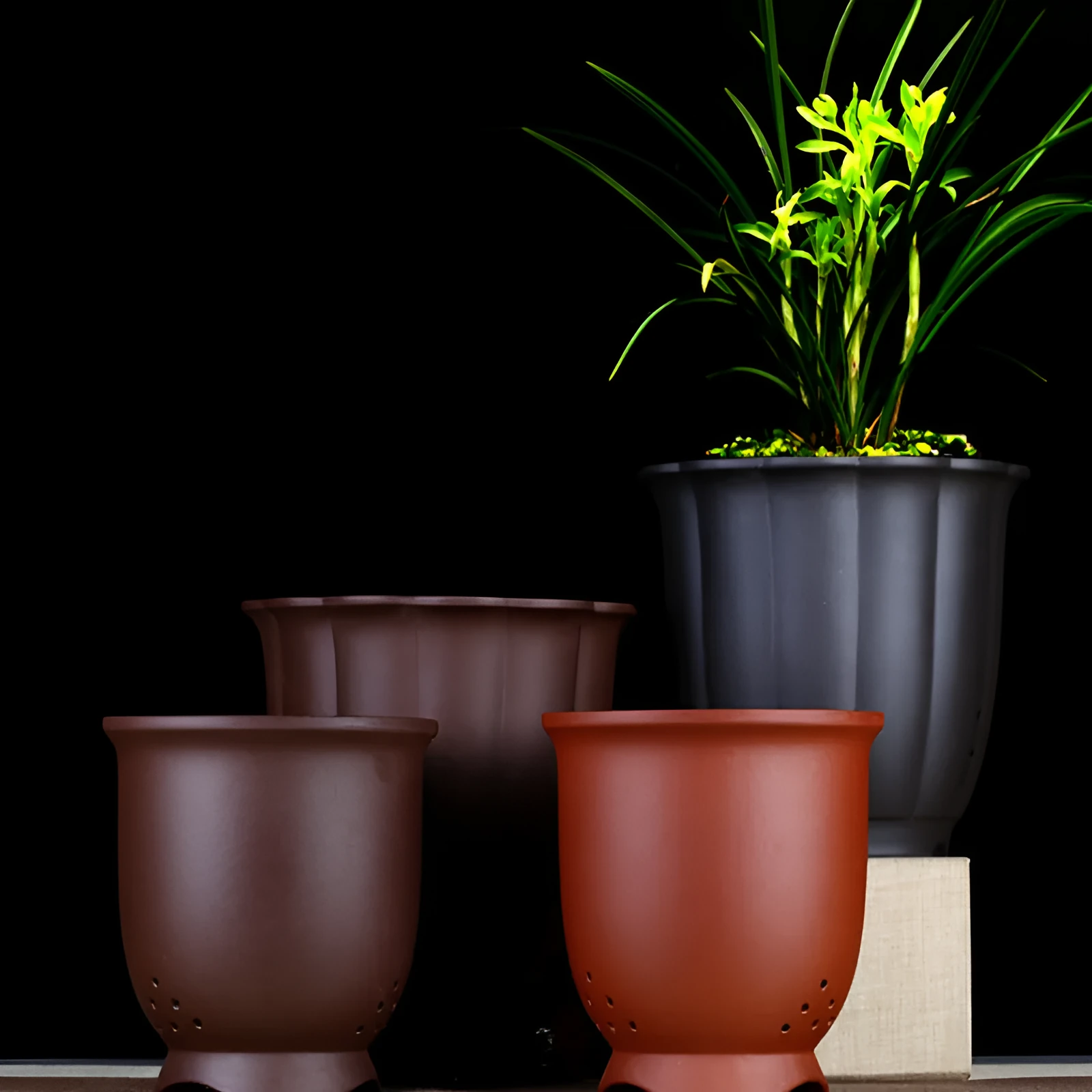 Round ceramic desktop bonsai basin in black with four drainage holes for small plants