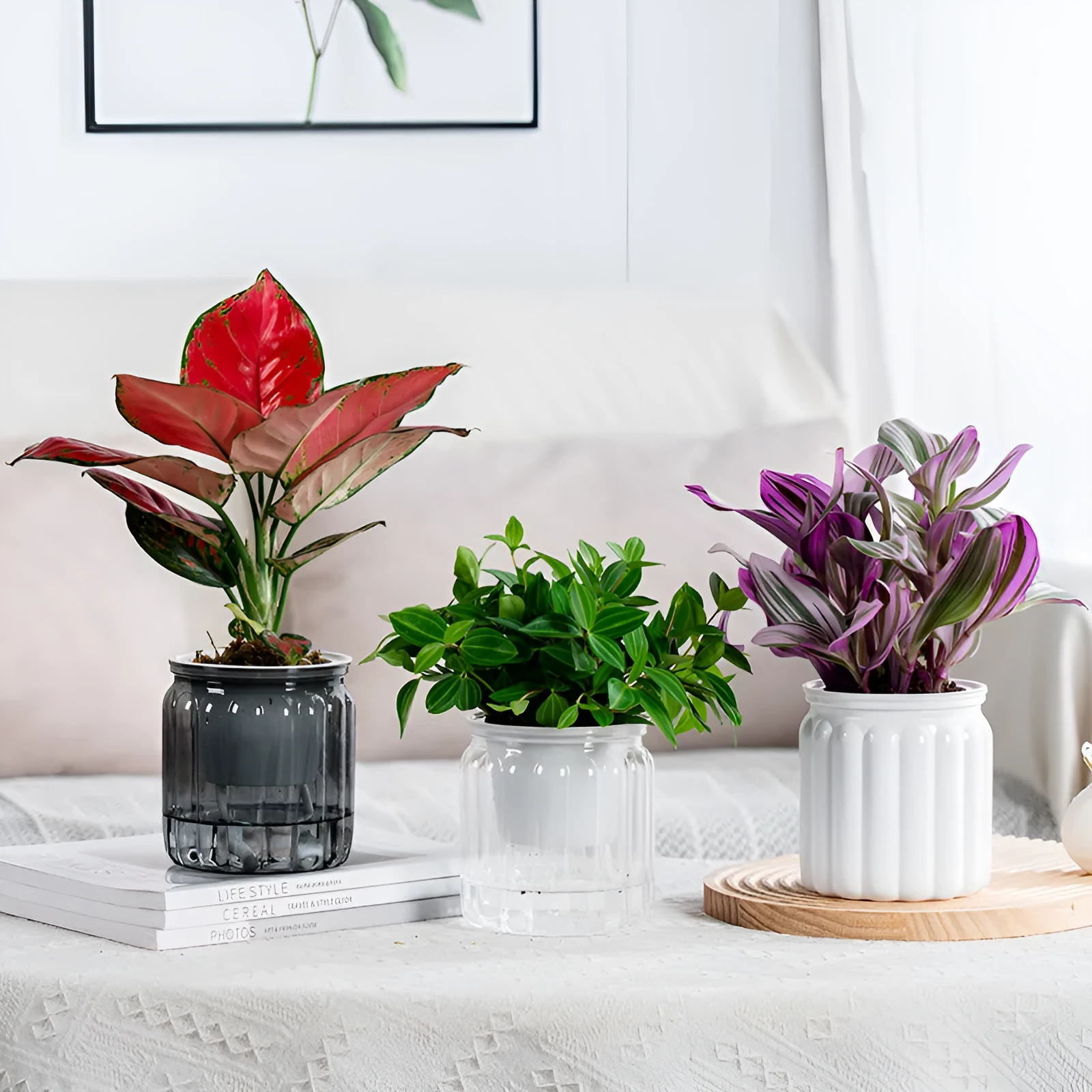 Self-absorbent transparent plastic resin hydroponic flowerpot for small green plants and succulents