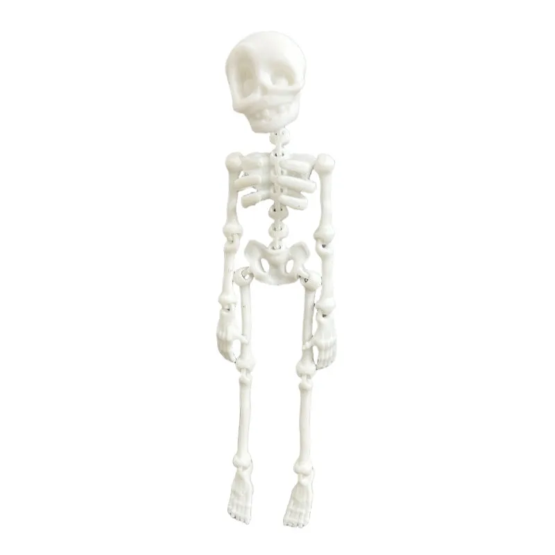 3D printed skull refrigerator magnet in multiple colours measuring 18cm high by 4.5cm wide