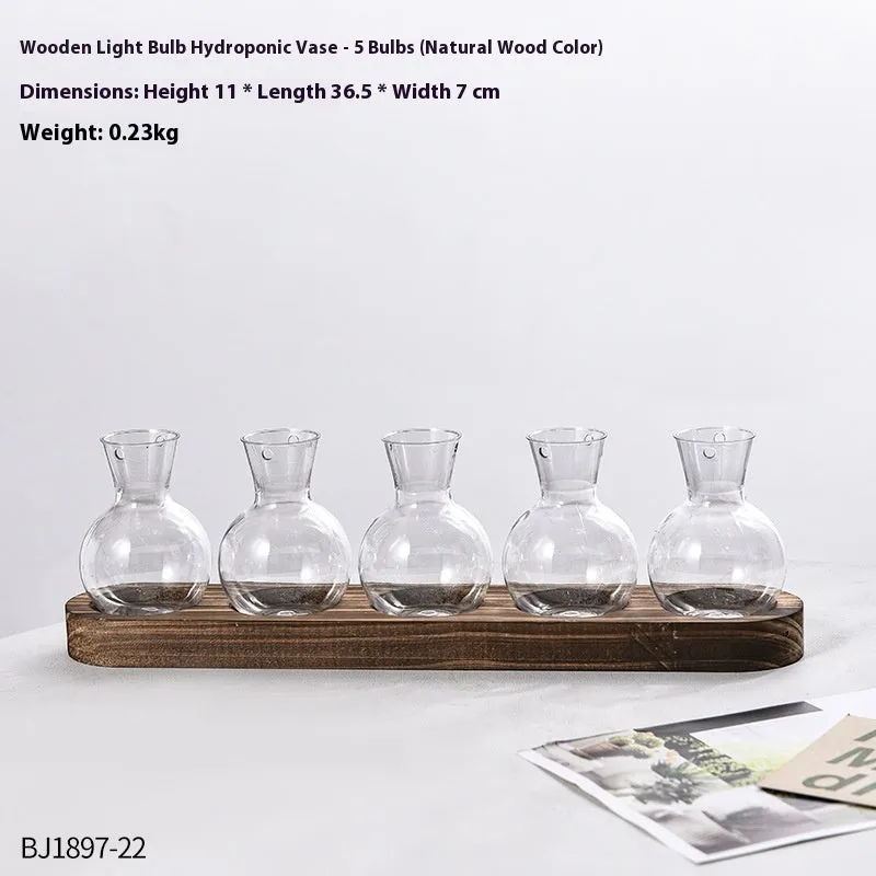 Transparent hydroponic vase on wooden frame in modern design