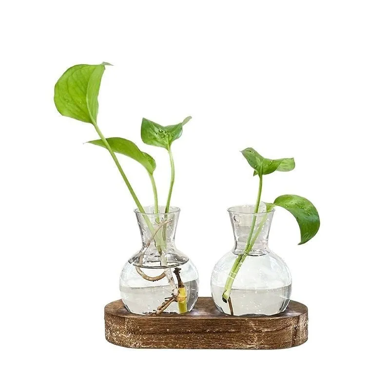 Transparent hydroponic vase on wooden frame in modern design