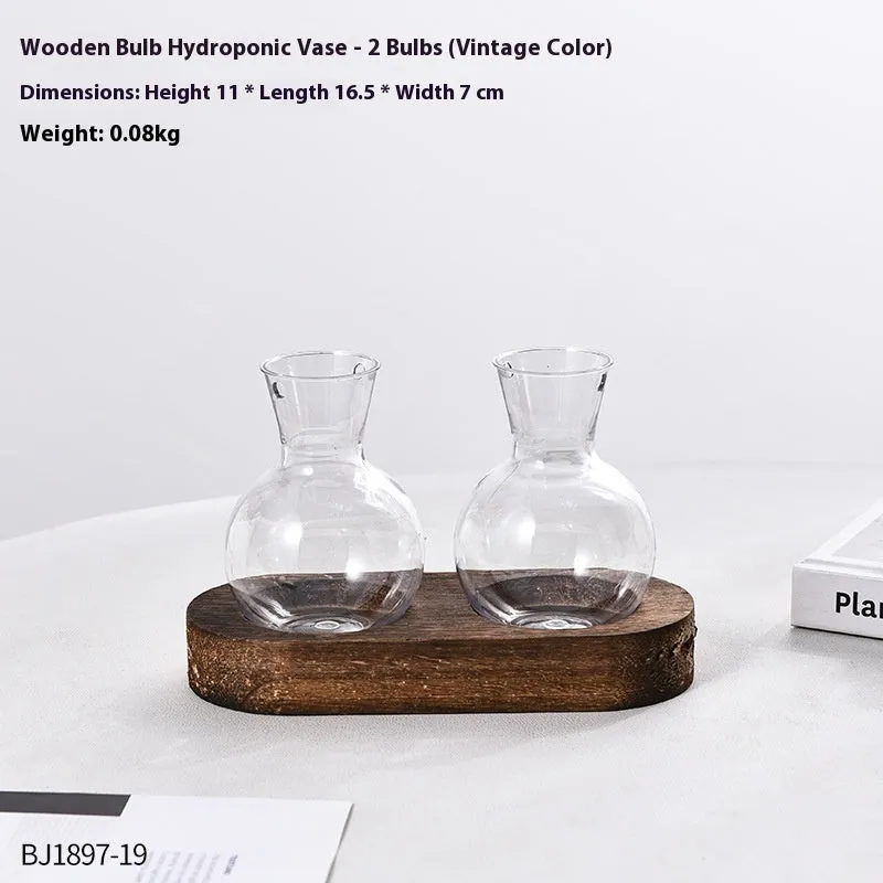 Transparent hydroponic vase on wooden frame in modern design