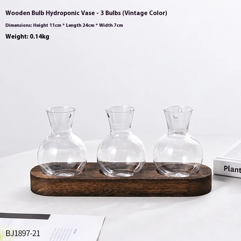 Transparent hydroponic vase on wooden frame in modern design