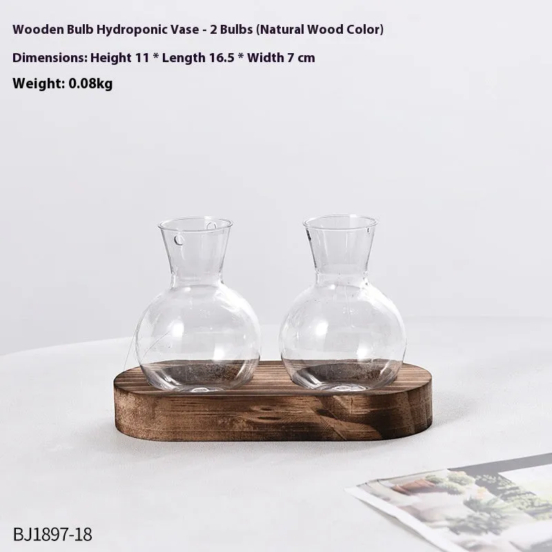 Transparent hydroponic vase on wooden frame in modern design