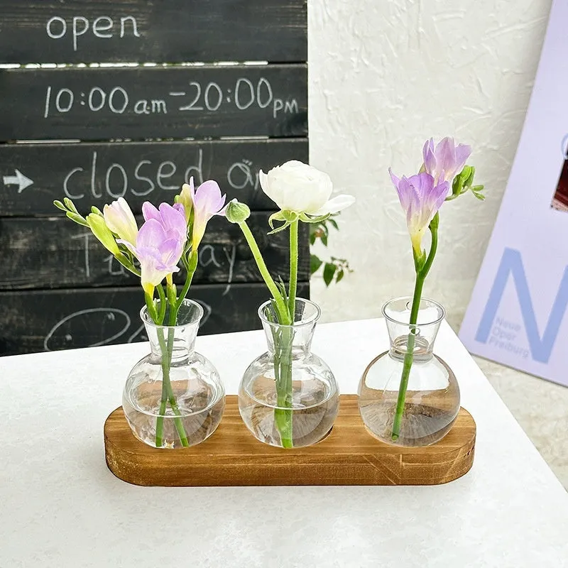 Transparent hydroponic vase on wooden frame in modern design