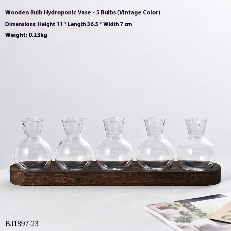 Transparent hydroponic vase on wooden frame in modern design