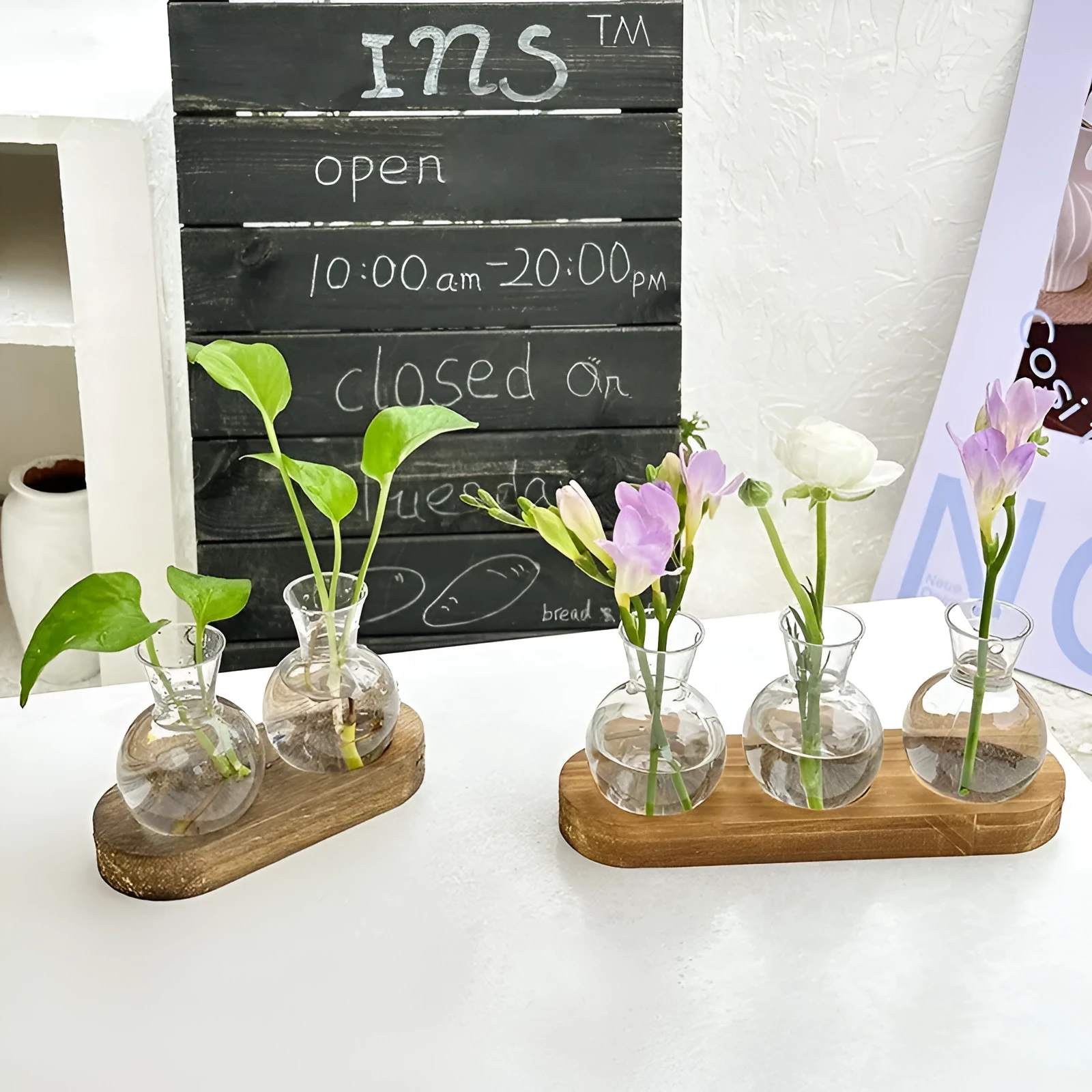 Transparent hydroponic vase on wooden frame in modern design