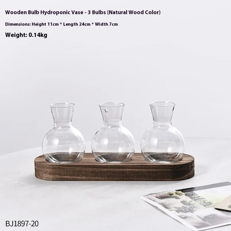 Transparent hydroponic vase on wooden frame in modern design