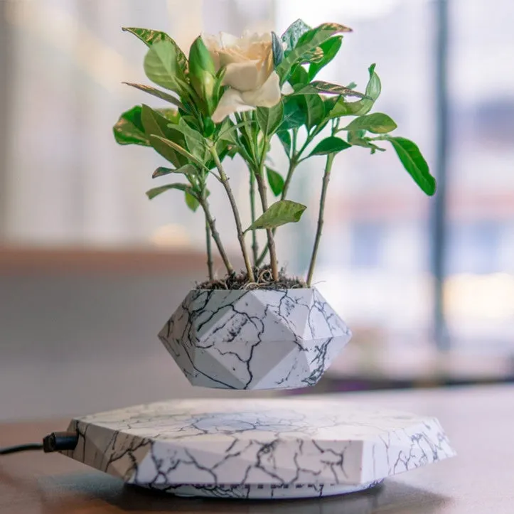 Marbling colour magnetic levitating plant pot floating with bonsai in modern home setting