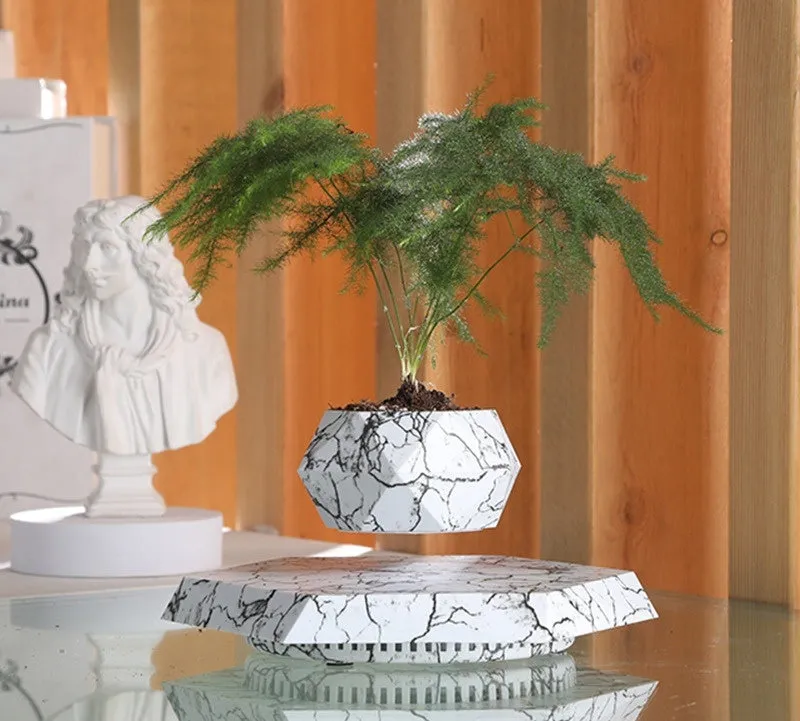 Marbling colour magnetic levitating plant pot floating with bonsai in modern home setting
