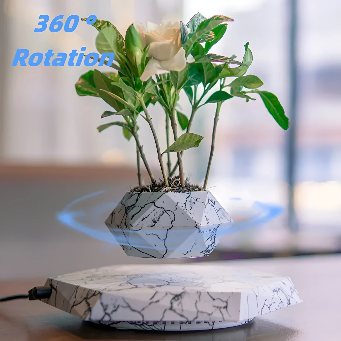 Marbling colour magnetic levitating plant pot floating with bonsai in modern home setting