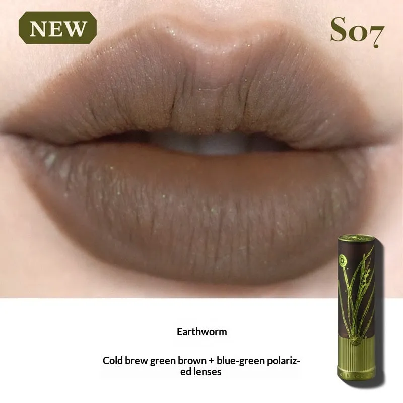 Matte natural brown lipstick in nude earth tone shade with long-lasting formula on a white background