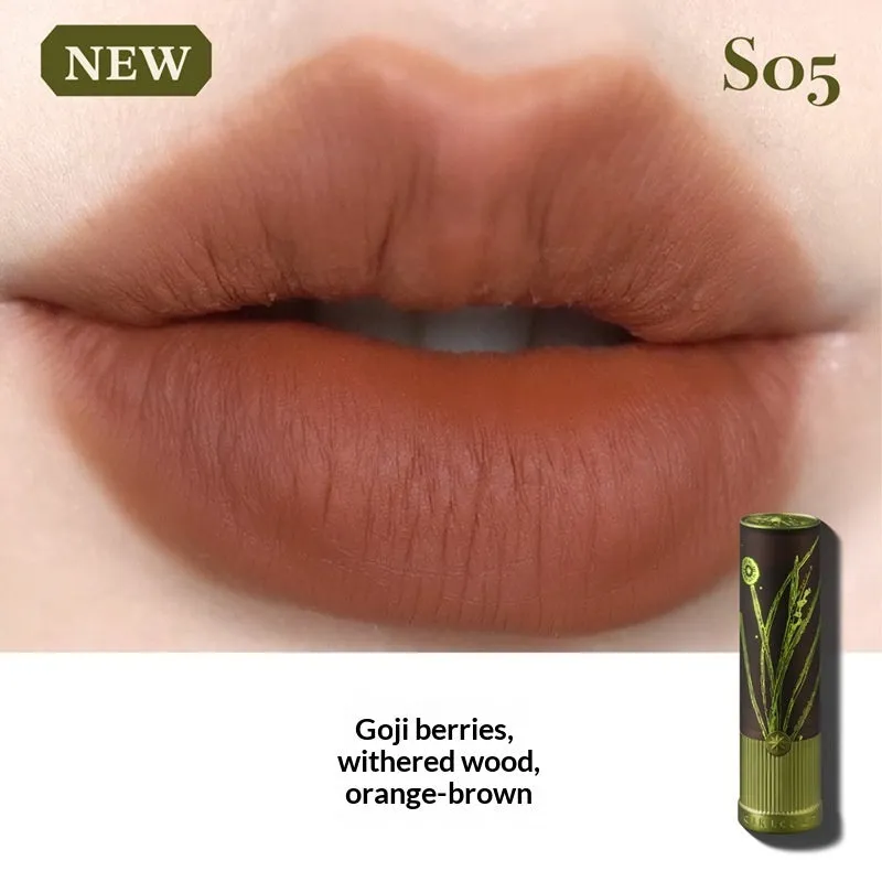 Matte natural brown lipstick in nude earth tone shade with long-lasting formula on a white background