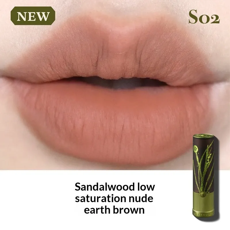 Matte natural brown lipstick in nude earth tone shade with long-lasting formula on a white background
