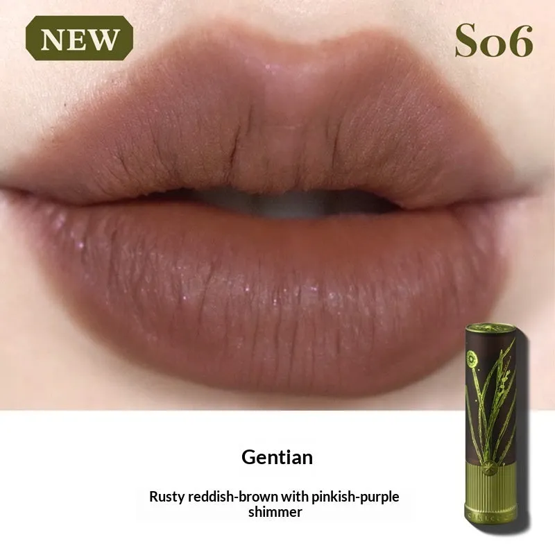 Matte natural brown lipstick in nude earth tone shade with long-lasting formula on a white background