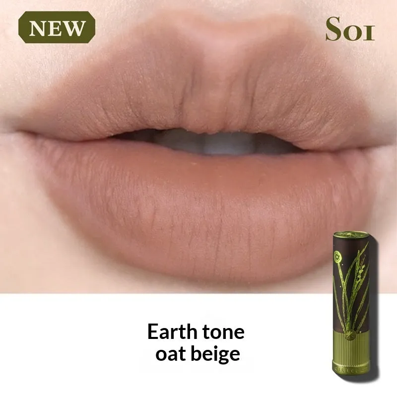 Matte natural brown lipstick in nude earth tone shade with long-lasting formula on a white background