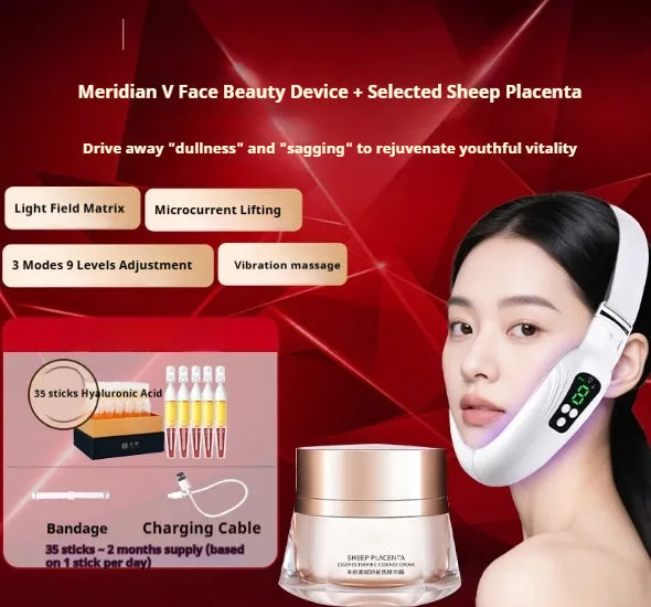 Home-use facial lifting massager with microcurrent, LED lights, and 9 energy levels in plastic shell