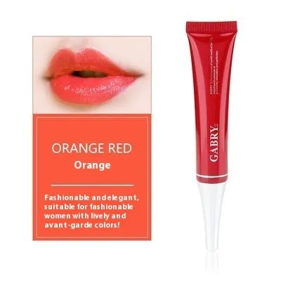 Vermilion lip gloss set showing five waterproof shades including pink, orange red, and rose red variations