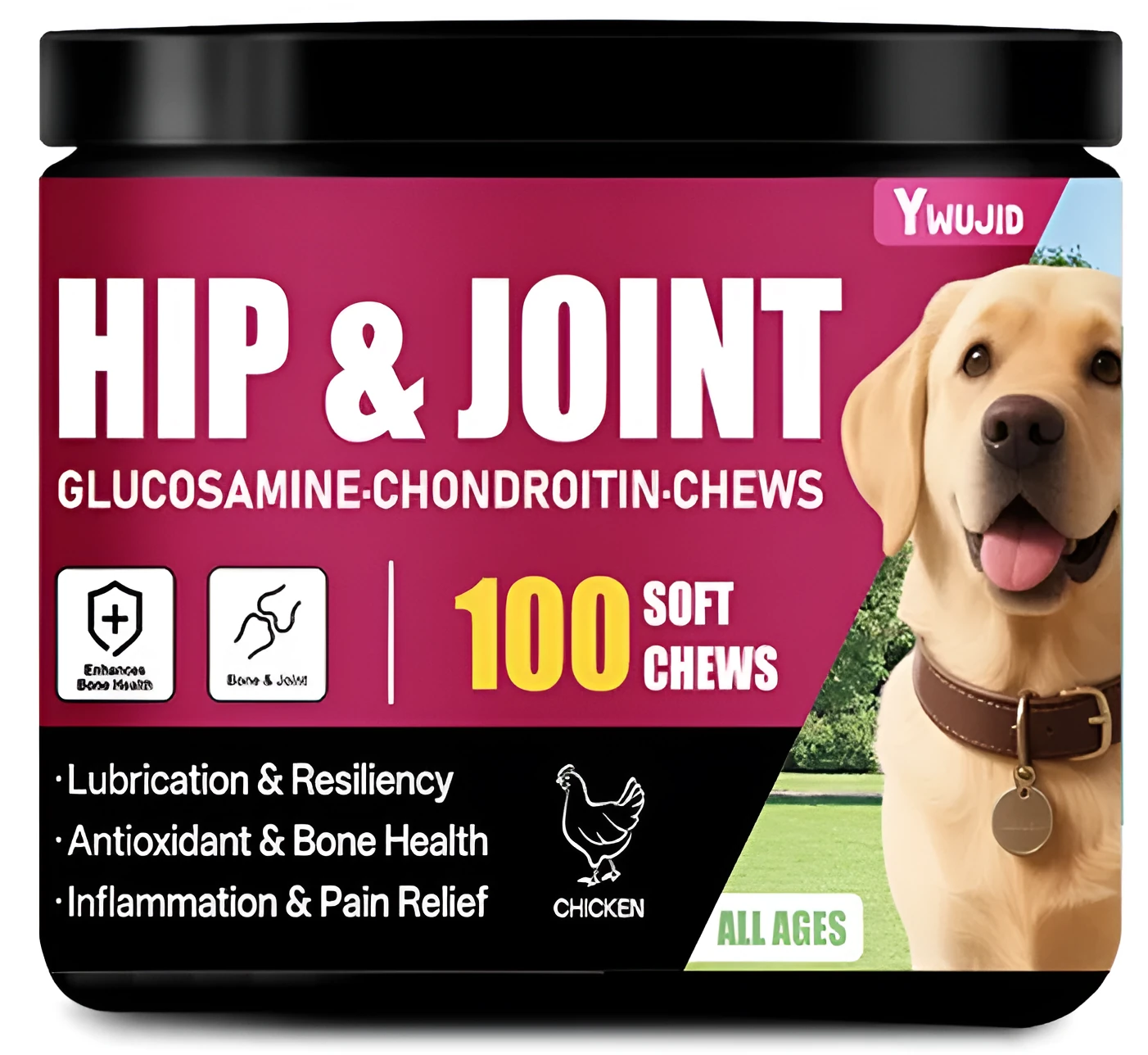 Canister of chondroitin chewable soft granules dietary supplement for bone and cartilage support