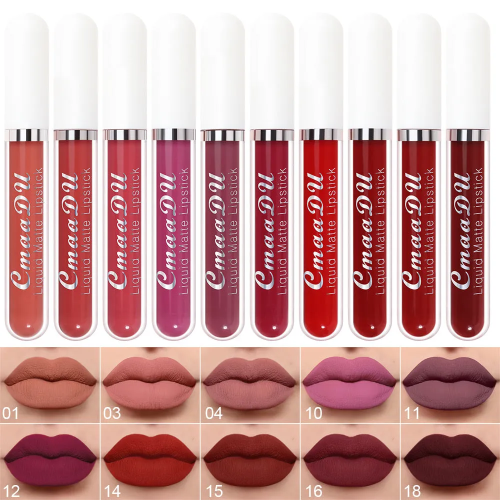 10 pcs matte waterproof long lasting lip gloss set in multiple colours