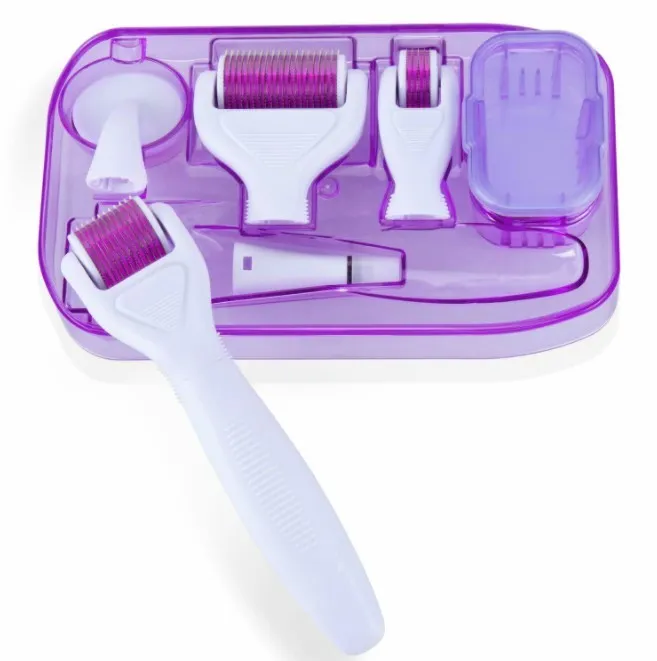 DermaKit 6-in-1 derma roller set with stainless steel needles, PC handle, face brush, and disinfection groove on white background