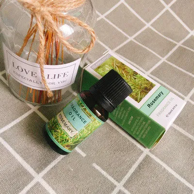 Set of 12 plant aromatherapy essential oil bottles with fragrances including Lavender, Lemon, and Mint for fresh air