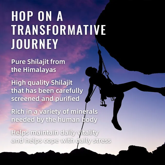 BSYS Shilajit Gummies 60 count bottle dietary supplement for energy and vitality