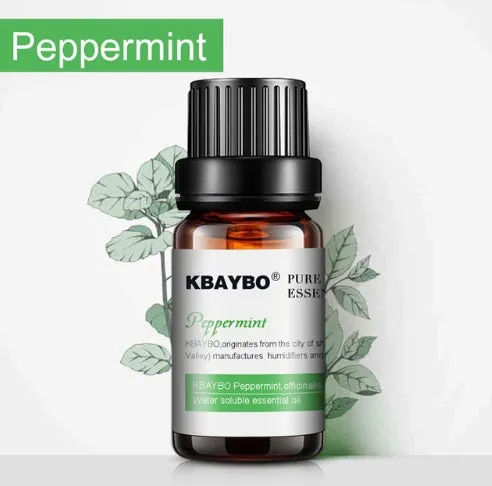 Six 10ml essential oil bottles lavender lemongrass tea tree peppermint rosemary orange for aromatherapy