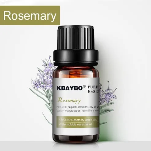 Six 10ml essential oil bottles lavender lemongrass tea tree peppermint rosemary orange for aromatherapy