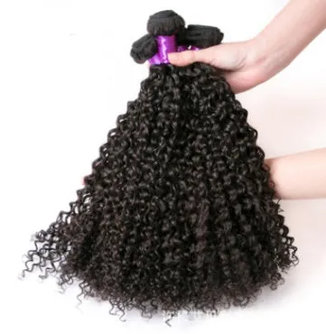 Brazilian virgin human hair kinky curly wig with real hair curtain in natural black colour