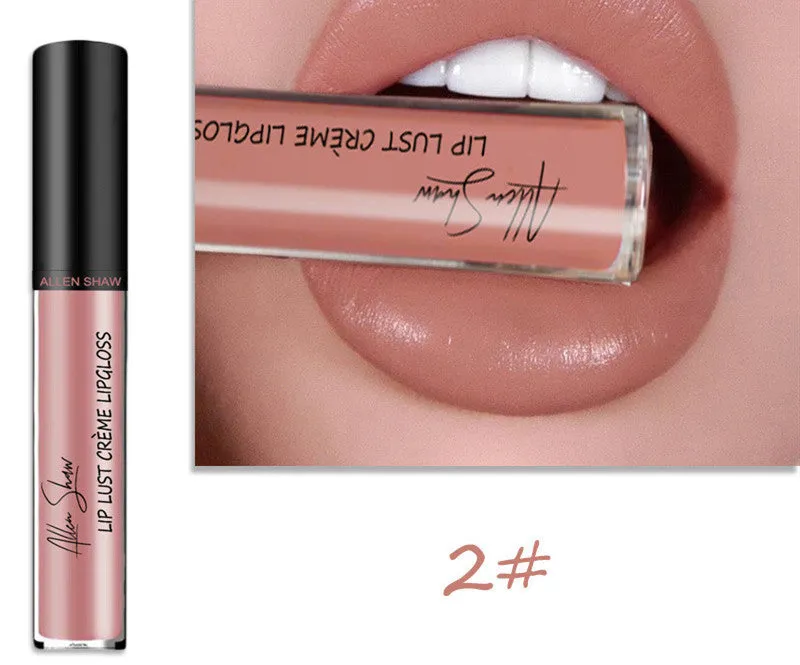 Silky cream texture lip gloss lipstick mineral lip glaze with glossy shine, available in multiple colours