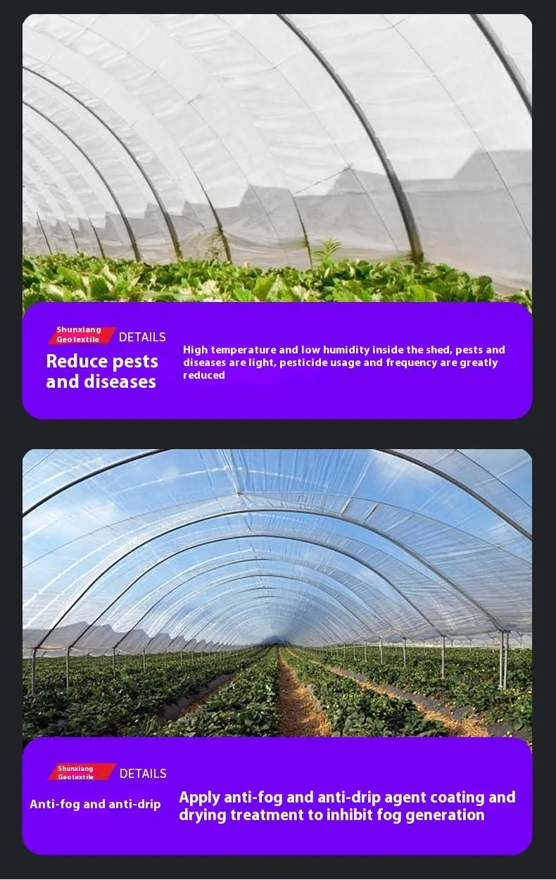 Roll of 4x8 metre plastic greenhouse film for vegetable shed cold protection