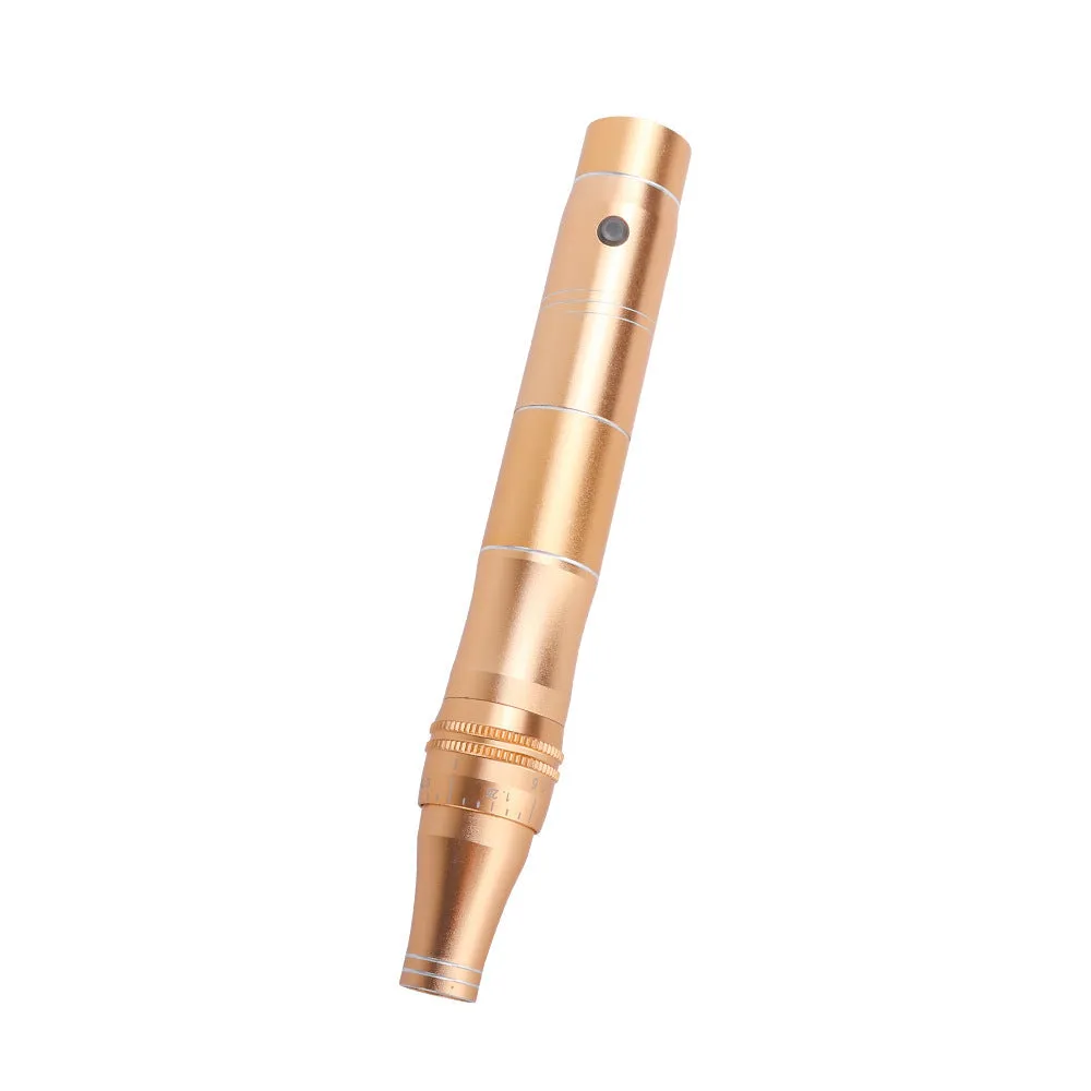 Rose Screw Electric Microneedle Beauty Repair IPL Device in rose gold finish with USB cable and multiple plugs