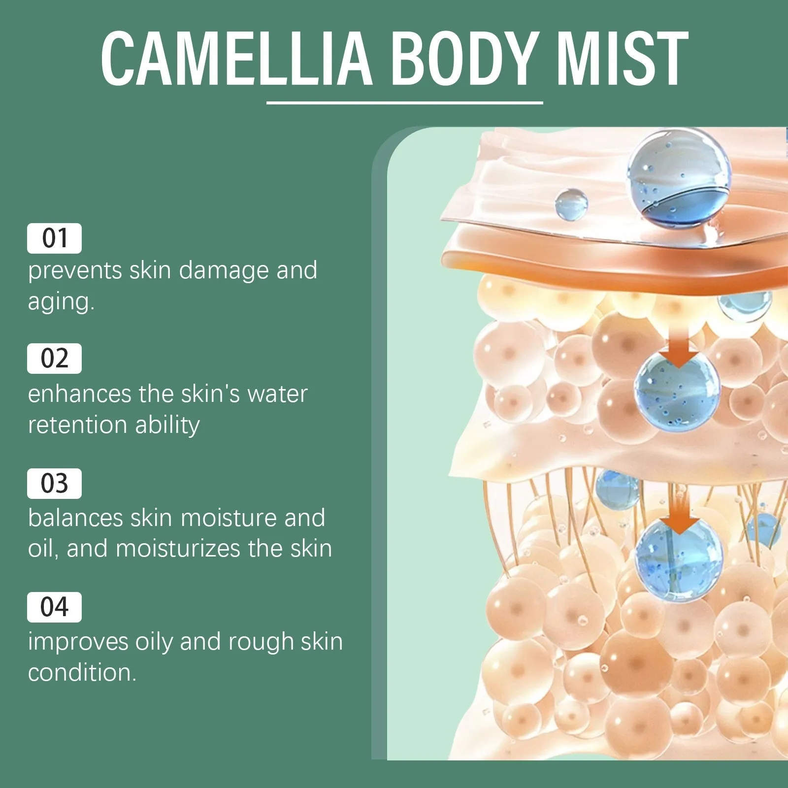 Camellia Body Lotion 50ml portable tube with light fragrance for skin refreshing care
