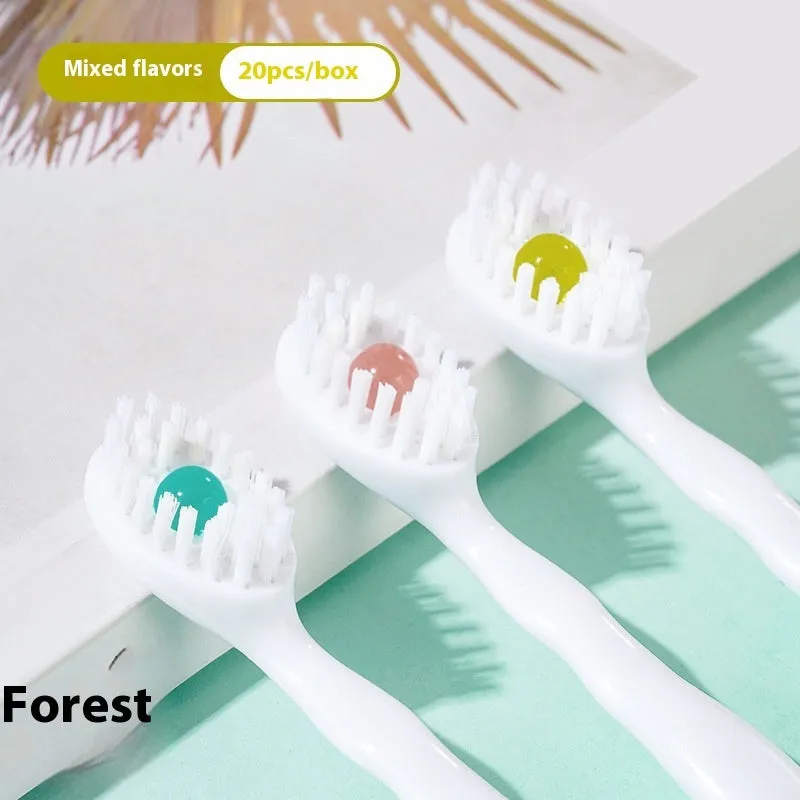 Box of disposable bead toothbrushes in mint, peach, plum green tea, and mixed flavours.
