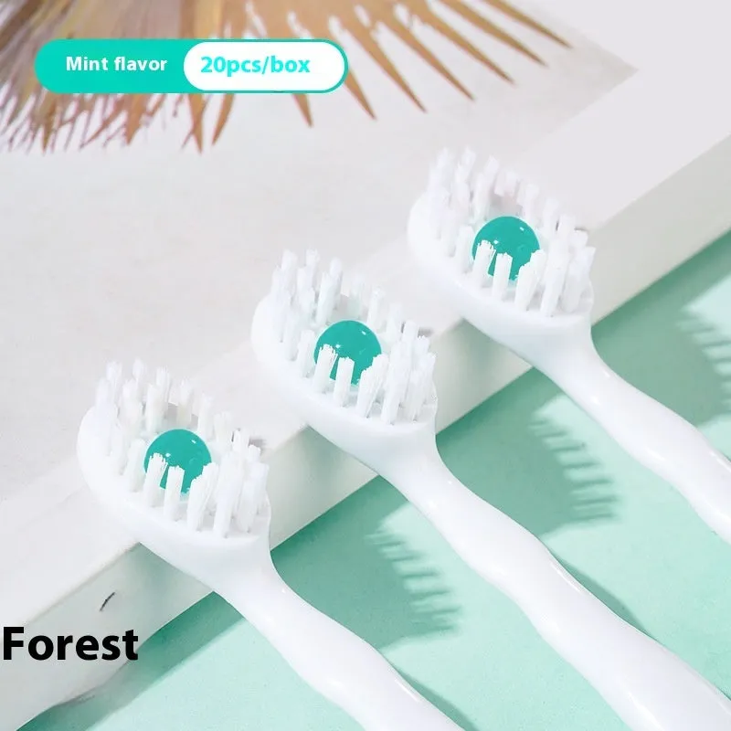 Box of disposable bead toothbrushes in mint, peach, plum green tea, and mixed flavours.