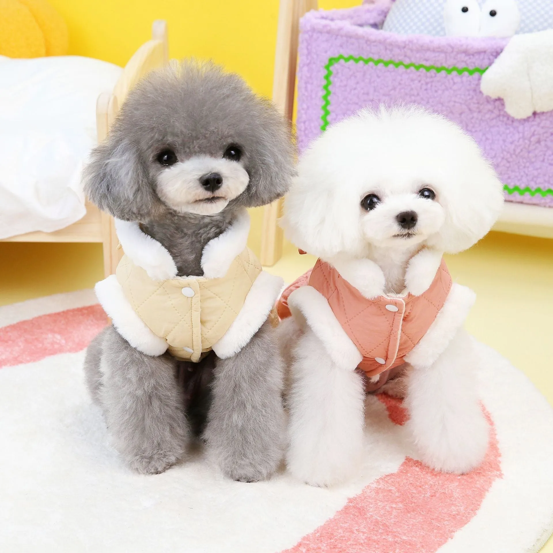 Pet dog clothes small dog butterfly cotton-padded dress in apricot colour