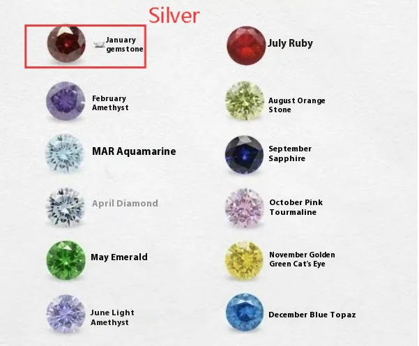 Zircon birthstone necklace with titanium steel chain and monthly pendant on model