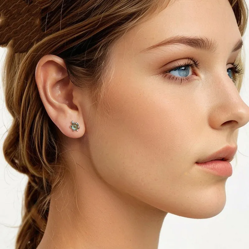 S925 sterling silver turtle ear studs and ring set on white background, electroplated 925 silver jewellery for women