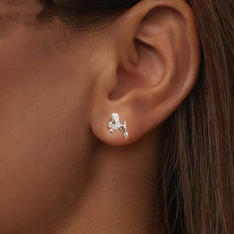 S925 sterling silver mini poodle stud earrings for women with cute dog design