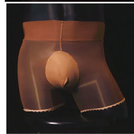 Men's shiny stockings underwear in transparent nylon showing U-shaped bag style and mid waist design