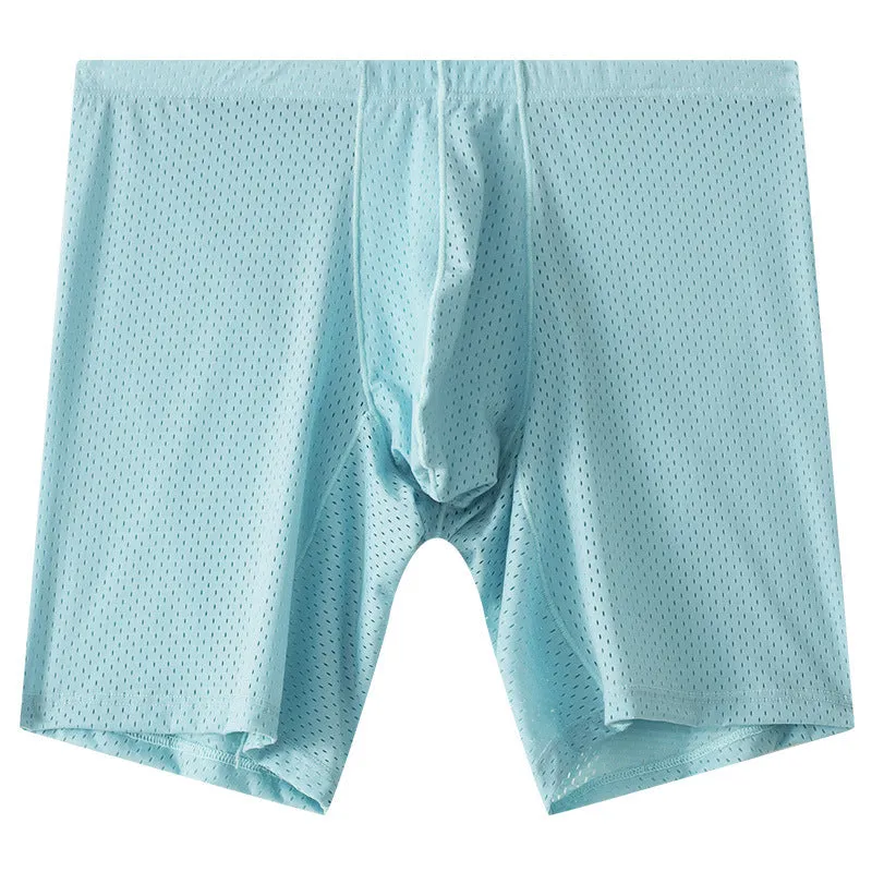 Men's transparent mesh underwear boxers in five colours with extended cut and mid-waist design