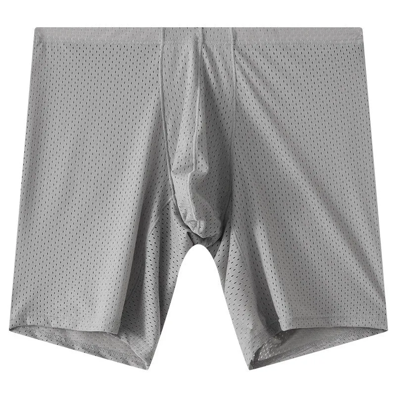 Men's transparent mesh underwear boxers in five colours with extended cut and mid-waist design