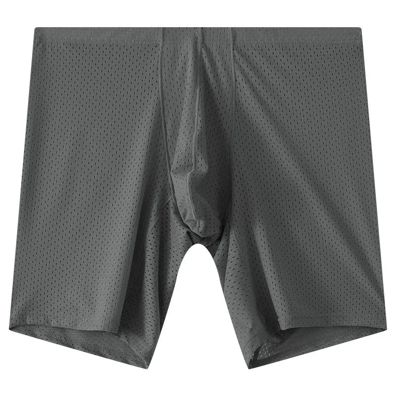 Men's transparent mesh underwear boxers in five colours with extended cut and mid-waist design