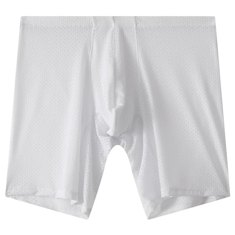 Men's transparent mesh underwear boxers in five colours with extended cut and mid-waist design